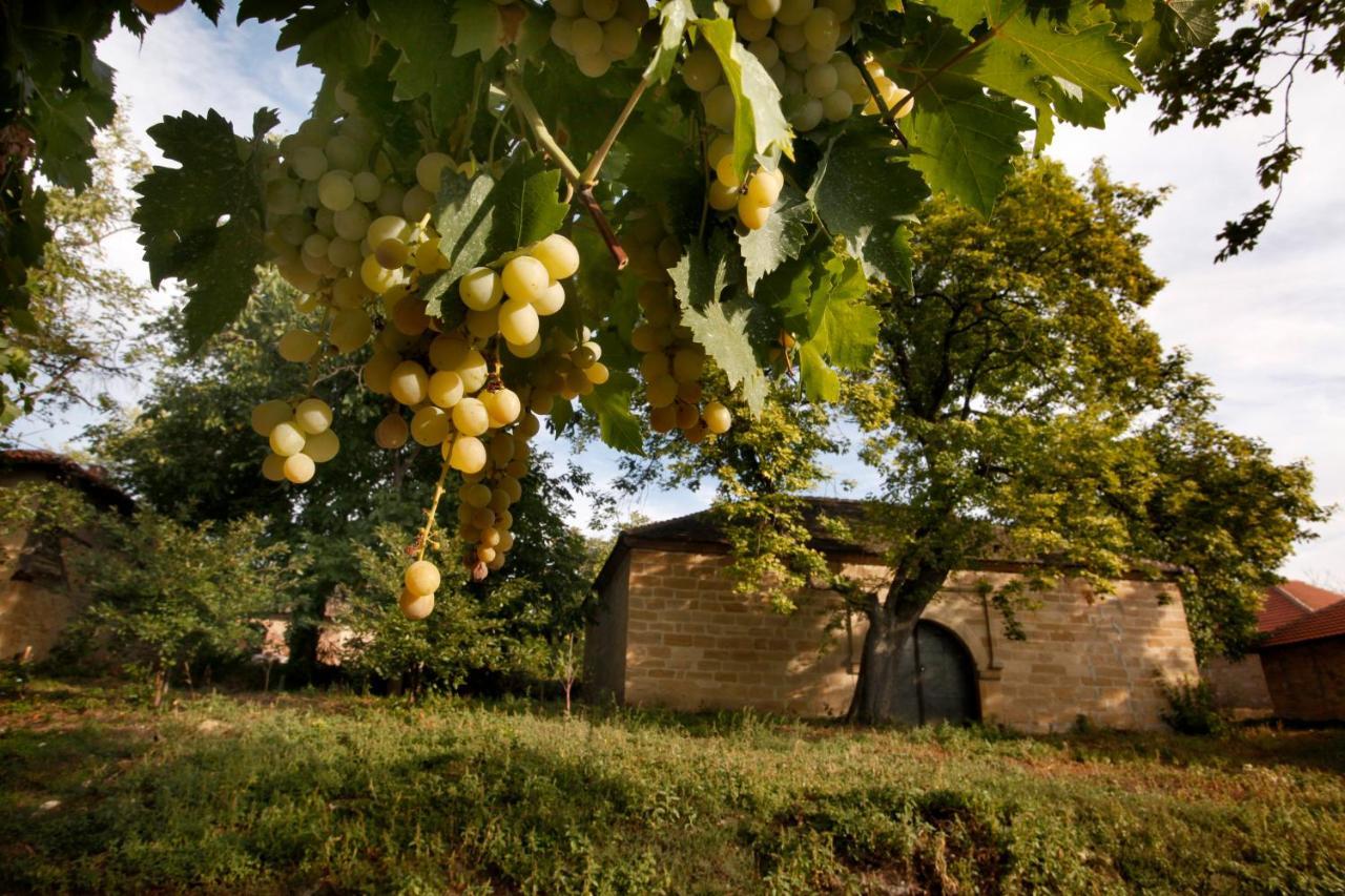 "Pivnica I Smestaj Jovanovic"- Rogljevacke Pivnice Rogljevo Buitenkant foto